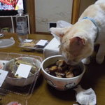 本庄鮮魚センター - 白バイ貝旨い