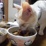 本庄鮮魚センター - 白バイ貝旨い