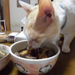 本庄鮮魚センター - 白バイ貝旨い