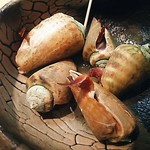 十津川 - チャンバラ貝