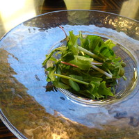 日本料理 湯河原 華暦 - フレッシュサラダ