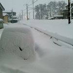 大衆酒場 まるちゃん - 今日の朝です