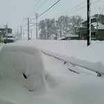 大衆酒場 まるちゃん - 今日の朝です、これから雪と対決です( ´艸｀)