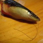 Echigoya - ２０１１年５月２８日再訪　釣り針くわえた天然鰻