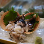 すし屋の喜楽 - とり貝