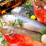 居酒屋 磯飯倶楽部 - 