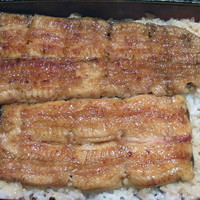 五代目 野田岩 麻布飯倉本店 - 鰻重　萩　3800円