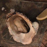 春秋ユラリ 恵比寿 - 