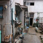 ホホホ座尾道店 コウガメ - 