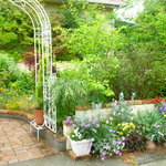 Garden cafe eucalitto - 