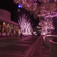 ダイナミックキッチン＆バー 響  新宿サザンタワー店 - 