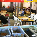 夜明茶屋 - 店内にあるイケスから調理も可能