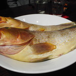 ロウホウトイ - 赤ハタ