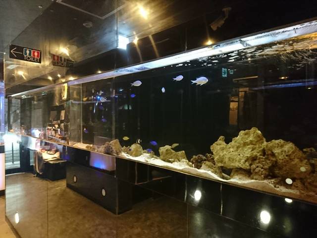 メッチャきれい By コタコタコウタ Aquarium個室 青の洞窟 難波店 大阪難波 居酒屋 食べログ メッチャきれい By コタコタコウタ Aquarium個室 青の洞窟 難波店 大阪難波 居酒屋 食べログ