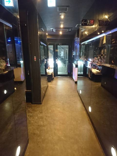 メッチャきれい By コタコタコウタ Aquarium個室 青の洞窟 難波店 大阪難波 居酒屋 食べログ メッチャきれい By コタコタコウタ Aquarium個室 青の洞窟 難波店 大阪難波 居酒屋 食べログ