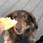 スターバックスコーヒー - 