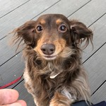 スターバックスコーヒー - 