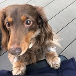 スターバックスコーヒー - 