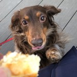 スターバックスコーヒー - 