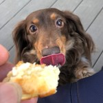 スターバックスコーヒー - 