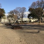 スターバックスコーヒー - 