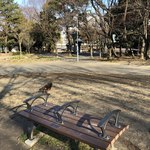 スターバックスコーヒー - 