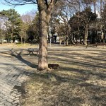 スターバックスコーヒー - 