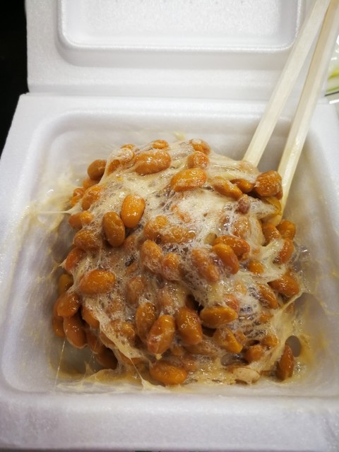 公園の中の宿 ロマン館 - 田尻（旅館・民宿）の写真