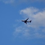 ALASKAN SOURDOUGH BAKERY - 