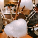 セララバアド - 