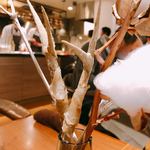 セララバアド - 