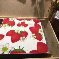 オールデイダイニング リモネ - これティラミスです。まさに芸術ですね