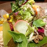 オステリア レ テッレ - 海と山の前菜盛り