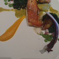 ルカンケ - 尾長鯛のポアレ　下仁田葱　縮みほうれん草　ジャガイモ