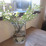 パ・ドゥ・ドゥ洋菓子店 - 店内