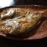 萩の宿 常茂恵 - 萩魚の干物（のどぐろ開き）