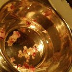 グランメゾン グラシアニ - 