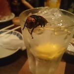 居酒屋なまず - 