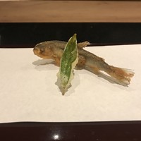 京都祇園 天ぷら八坂圓堂 - 