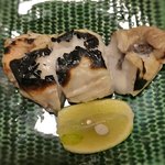 板 石山光一 - 2017年（平成29年）12月