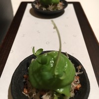 オマージュ - 