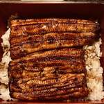 Unagi Toku - 