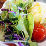 カフェ　スイッチ！ - サラダ