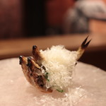 アカ - 琵琶湖本モロコ炭焼きと大葉、マンチェゴチーズ