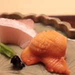 木山 - 15日熟成カンパチ、赤貝の造り