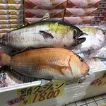 とれとれ市場 鮮魚コーナー - これは魚クッションです♬(^-^)