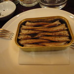 ロックフィッシュ - はたはた