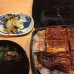 吉田屋 美濃錦 - 