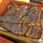 Kawashin Unagi Senta - 