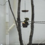 カフェ アンセルモ - 仲良しです